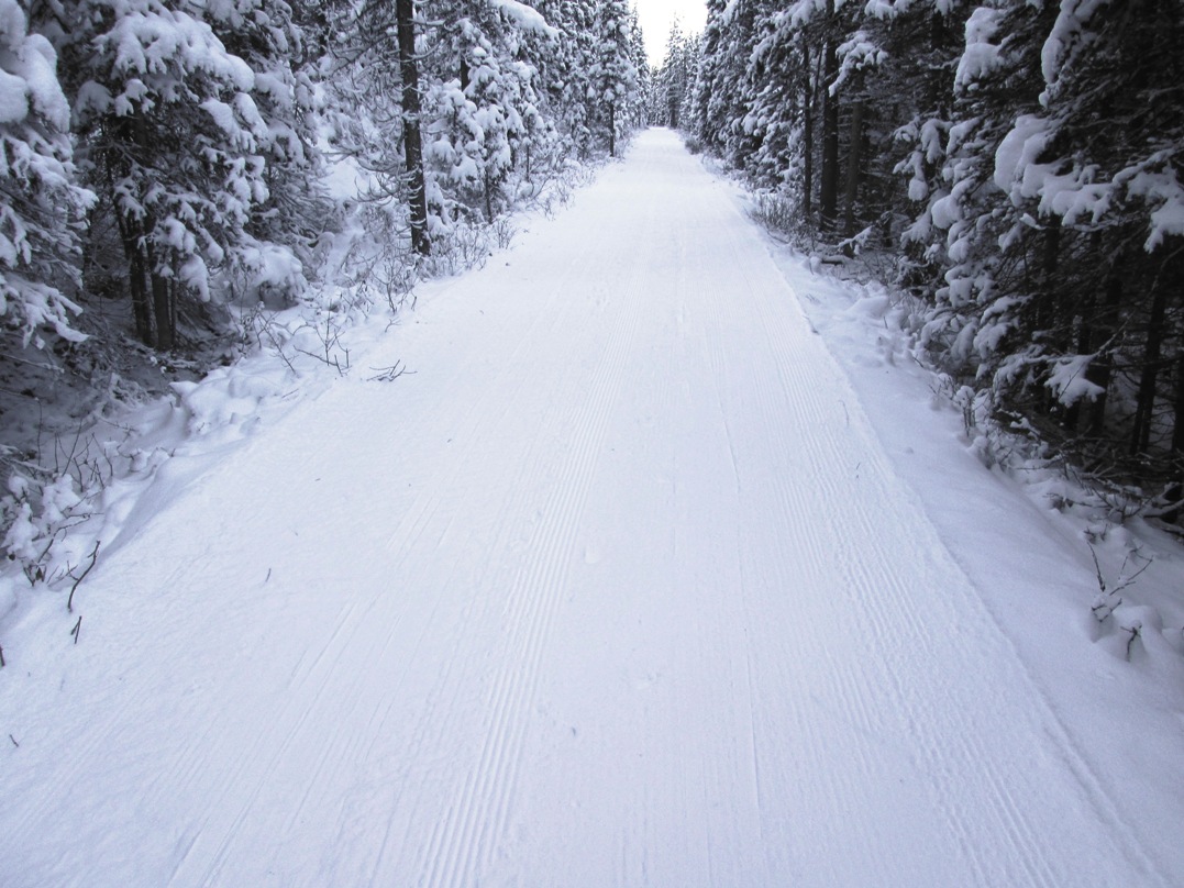 Upper Tramline