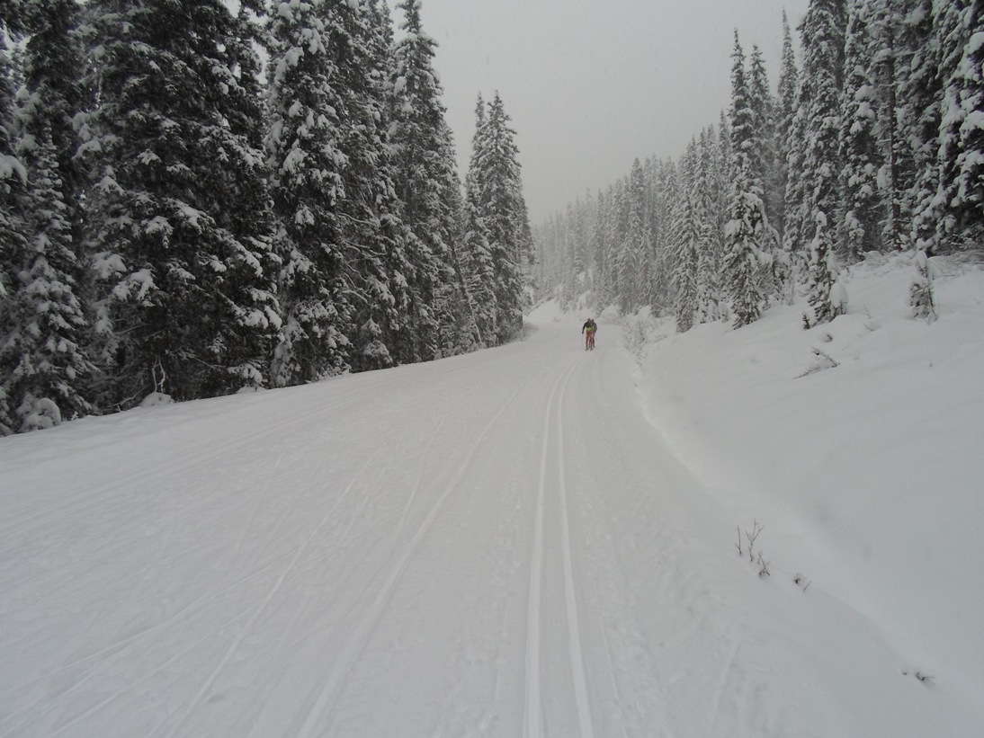 Moraine Lake road already had a couple cm of fresh snow over this morning\'s tracksetting