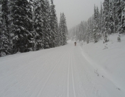 Moraine Lake road already had a couple cm of fresh snow over this morning\'s tracksetting