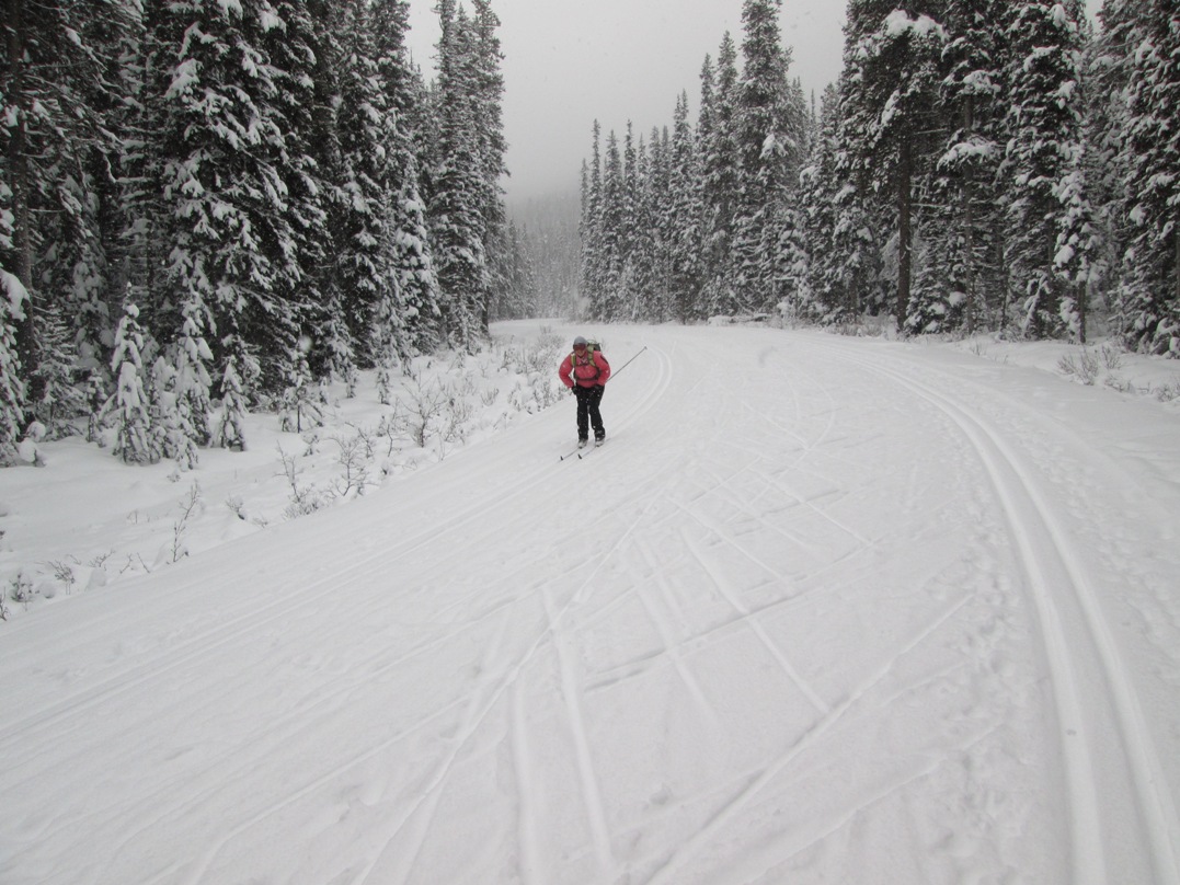 Moraine Lake road