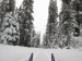 Tramline