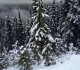 Moraine Lake road