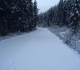 Moraine Lake road