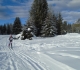 Lake Louise to Banff Loppet