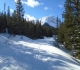 Lake O'Hara fire road