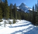 Lake O'Hara fire road