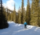 Lake O'Hara fire road