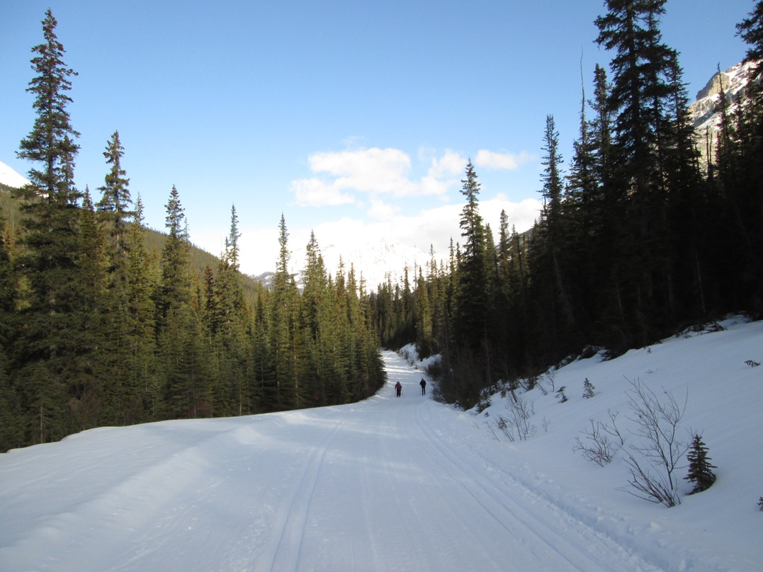 Lake O'Hara fire road