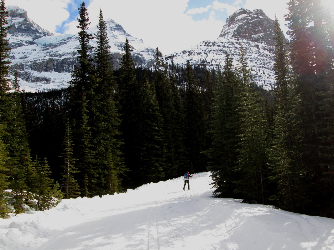 Lake O'Hara fire road