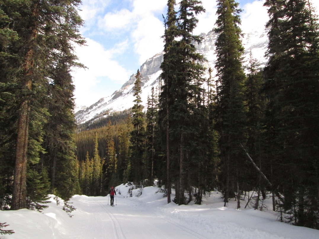 Lake O'Hara fire road