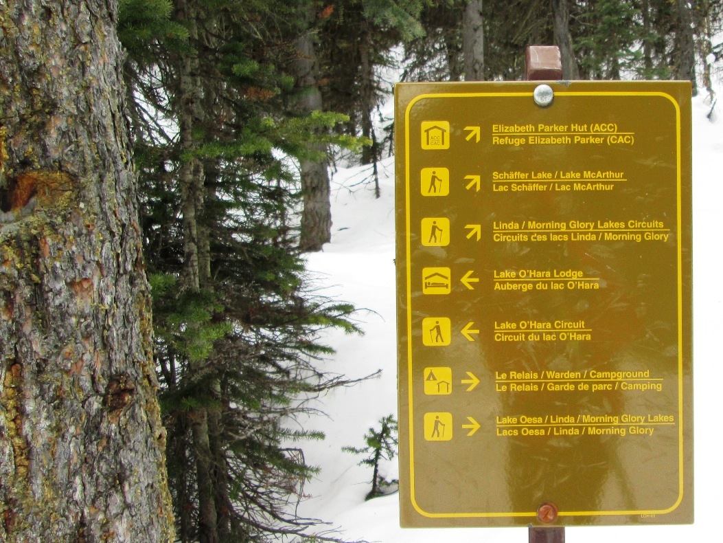 Lake O'Hara fire road