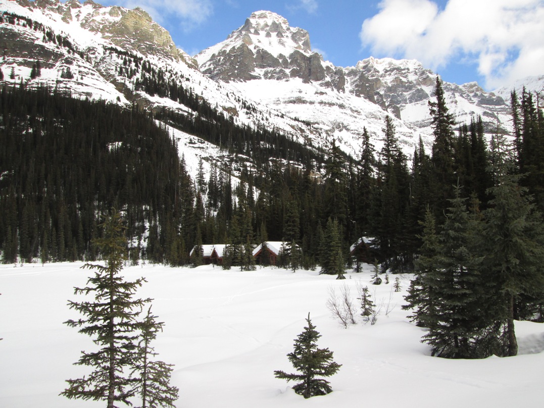 Lake O'Hara fire road