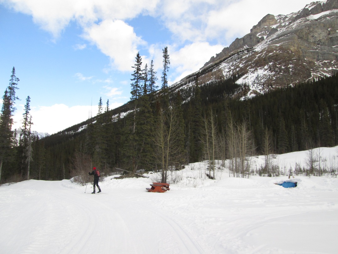 Lake O'Hara fire road