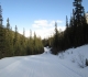 Lake O'Hara fire road