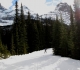 Lake O'Hara fire road