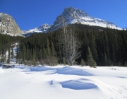 Lake O'Hara fire road