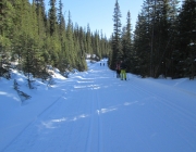 Lake O'Hara fire road