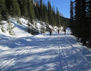 Lake O'Hara fire road