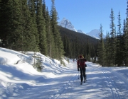 Lake O'Hara fire road