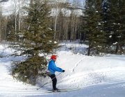 Solo skier Chip at Kilometre 47