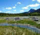 Many springs