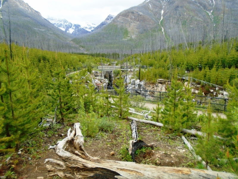 Marble Canyon