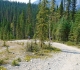 Goat creek