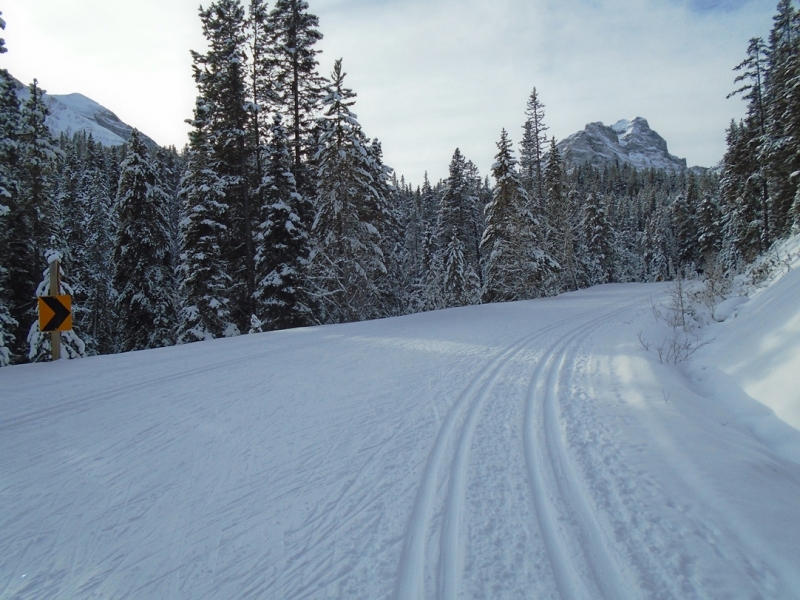 Moraine Lake road