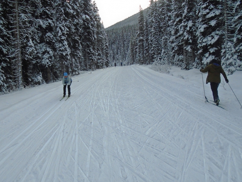 Moraine Lake road