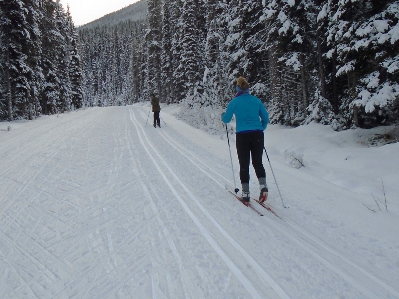 Moraine Lake road