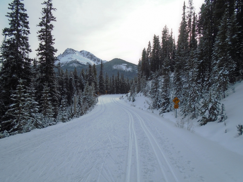 Moraine Lake road