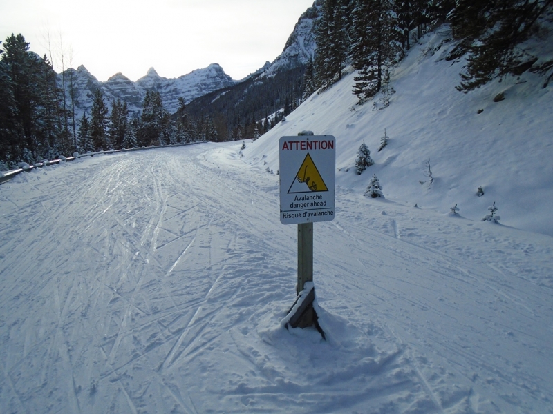 Moraine Lake road