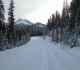 Moraine Lake road