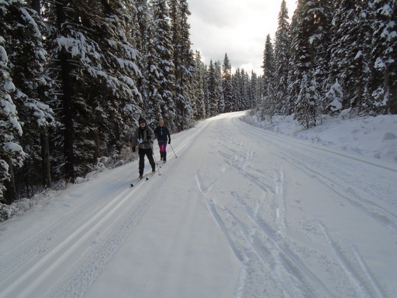 Moraine Lake road