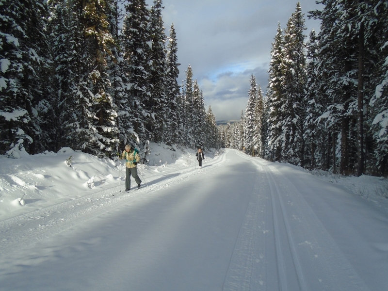 Moraine Lake road