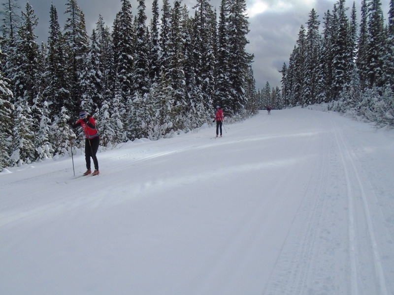Moraine Lake road