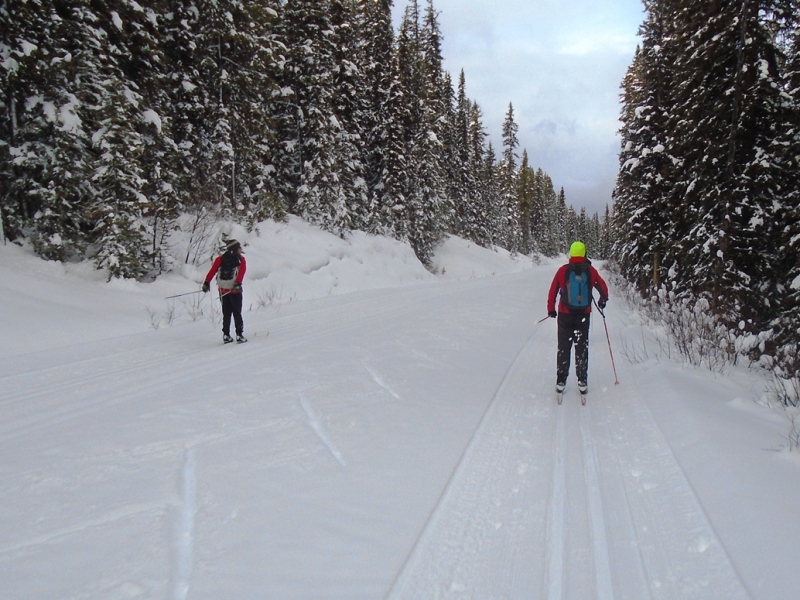 Moraine Lake road