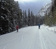 Moraine Lake road