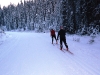 Skiers on Moraine Lake road