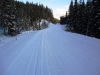 Ski tracks on Moraine Lake road
