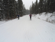 Skiers on Moraine Lake road at Lake Louise