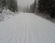 Moraine Lake road has received another 10 cm of snow since yesterday\'s packing