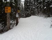Ski tracks leading up the Fairview trail