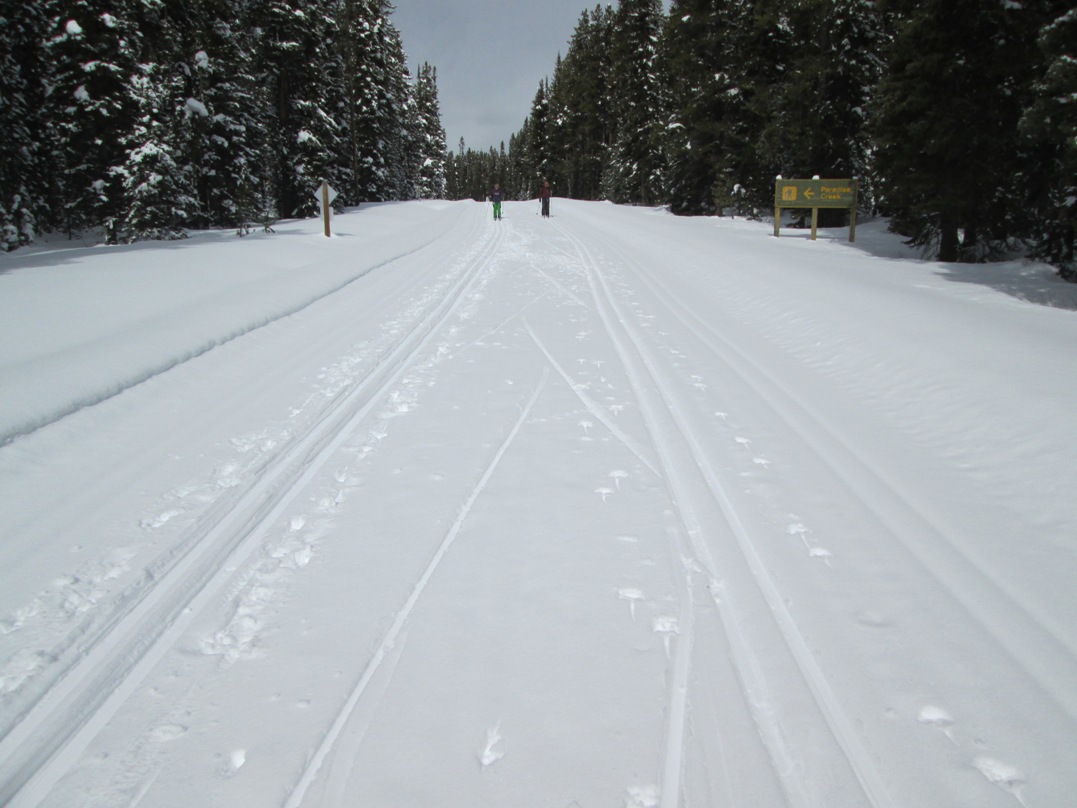 Moraine Lake road