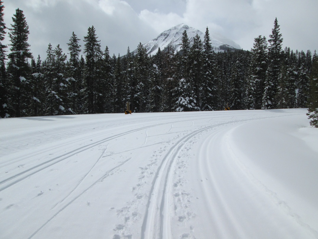 Moraine Lake road
