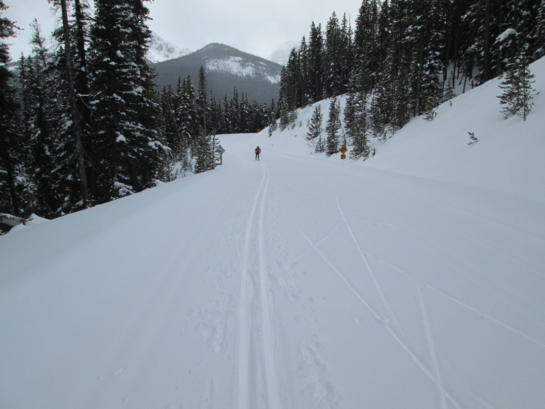 Moraine Lake road