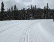 Moraine Lake road