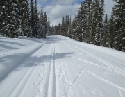 Moraine Lake road