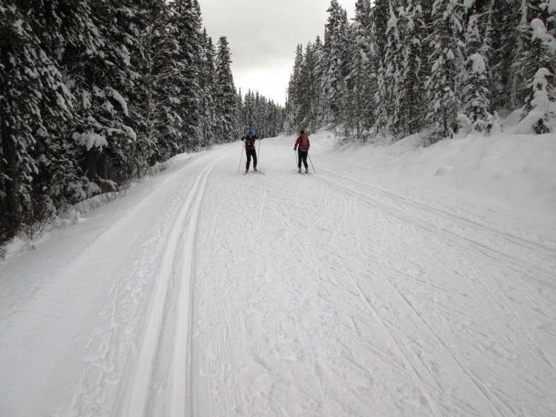 Moraine Lake road