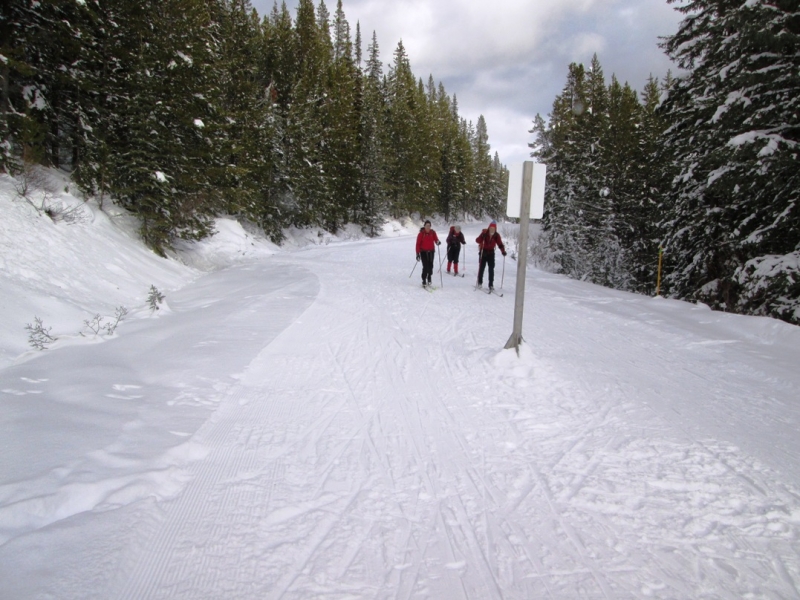 Moraine Lake road